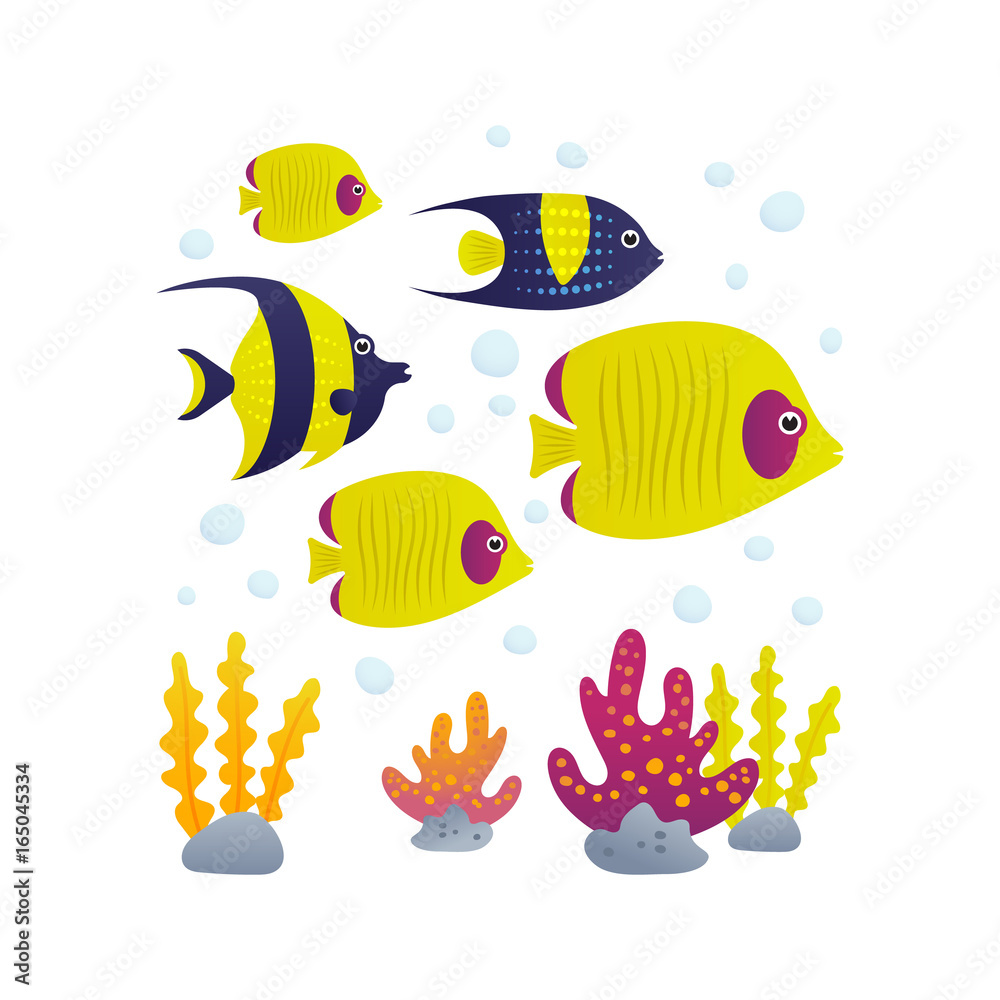 School of fish School of fish