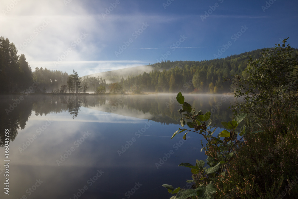 Fototapeta premium Erstes Sonnenlicht
