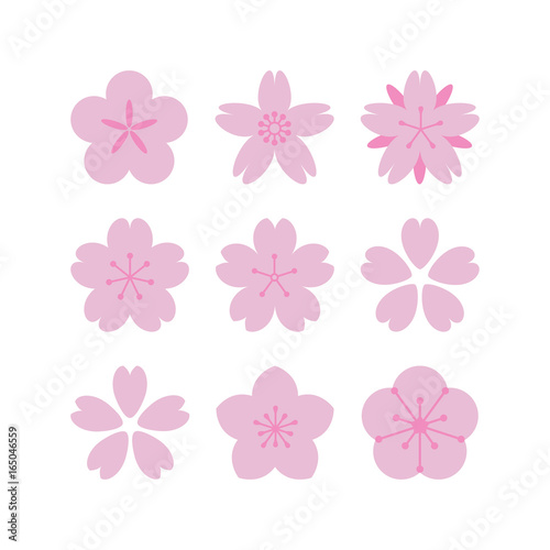 Sakura flowers set