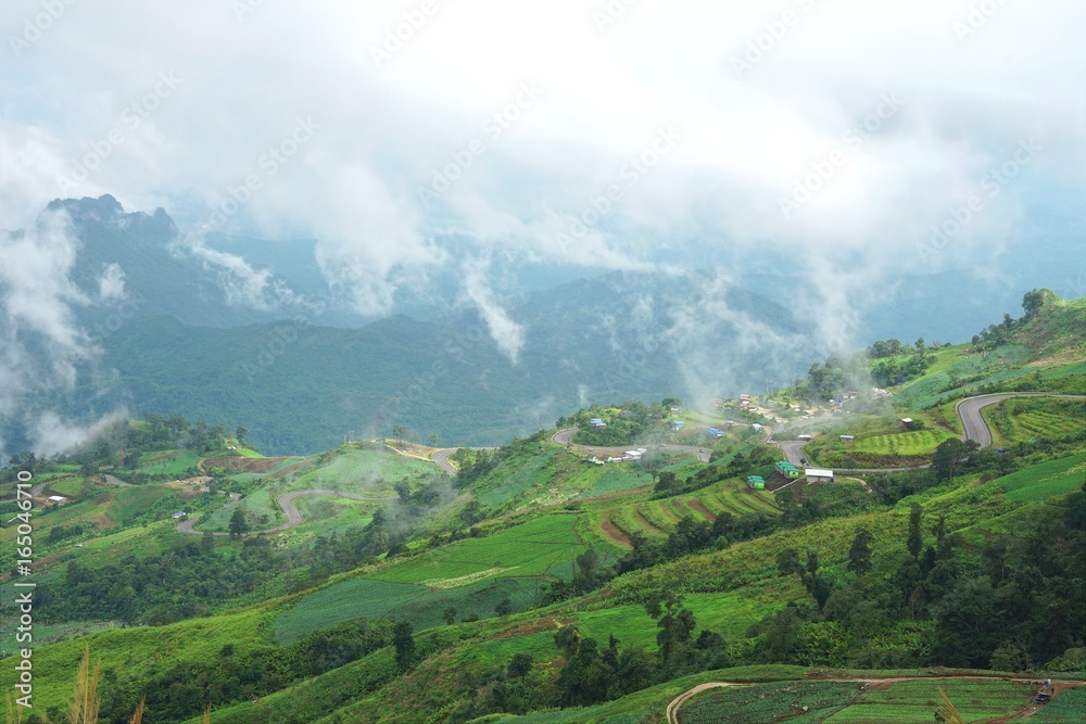 Obraz premium Morning mountain landscape with waves of fog and cloudy sky. Waves of clouds in the mountain peaks covered with cabbage fields, Cultivated land at Phu Tub Berg, Phetchabun province, Thailand