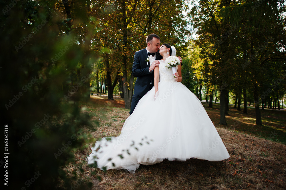 Amazing young gorgeous newly married couple taking a walk in the park on their wedding day. Amazing young gorgeous newly married couple taking a walk in the park on their wedding day.