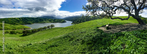 Panorama Park Bench Overlooking Reservoir with Oak Tree, Del Valle Regional Park, Livermore, California, green hills in winter