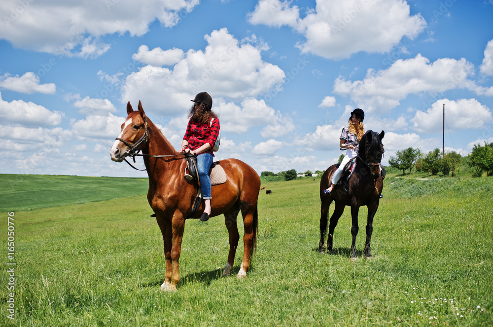 Tow young pretty girls riding a horses on a field at sunny day Tow young pretty girls riding a horses on a field at sunny day
