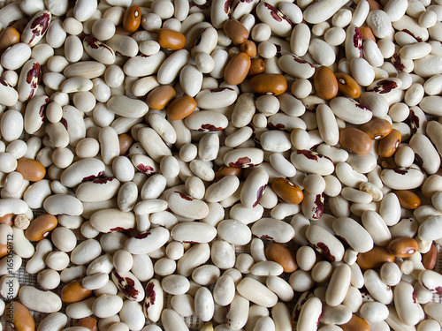 Close-up of a bean on a background of scarecrow