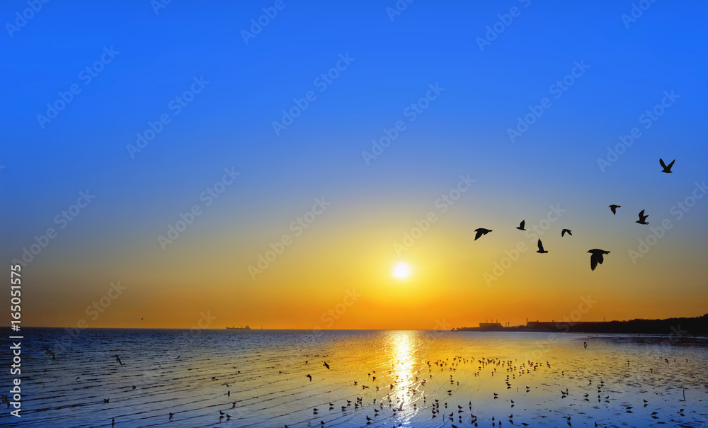 Beautiful sunset and flying birds over the sea surface