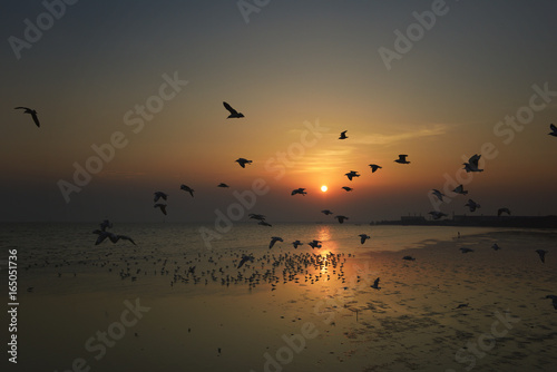 Beautiful sunset and flying birds over the sea surface © wirakorn
