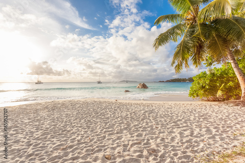 Fototapeta Naklejka Na Ścianę i Meble -  plage d'Anse Lazio sous le soleil des Seychelles