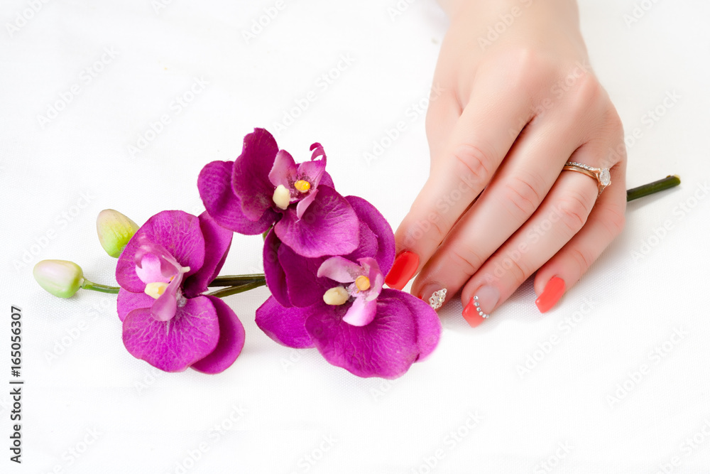 female hands with orchid petals and nail art female hands with orchid petals and nail art