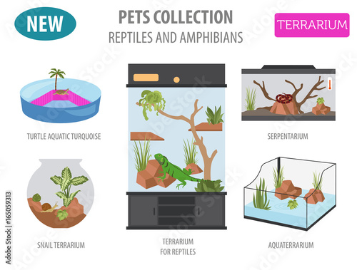Pet appliance icon set flat style isolated on white. Reptiles and amphibians care collection. Create own infographic