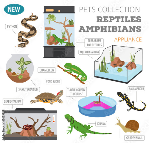 Pet appliance icon set flat style isolated on white. Reptiles and amphibians care collection. Create own infographic