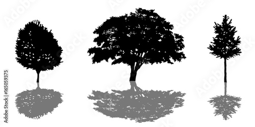 Tree silhouette icon set with shadow. vector illustration eps