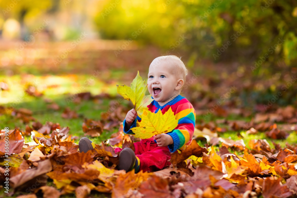 Child in fall park. Kid with autumn leaves. Child in fall park. Kid with autumn leaves.