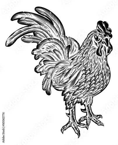 Rooster Chicken Woodcut
