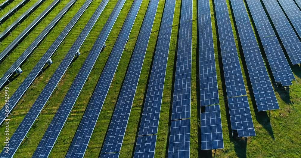 champs de panneau solaire dans une ferme solaire