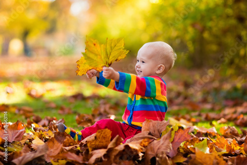 Child in fall park. Kid with autumn leaves.