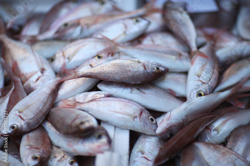 Fresh catch of delicatessen fish in a box on the counter of the fish market