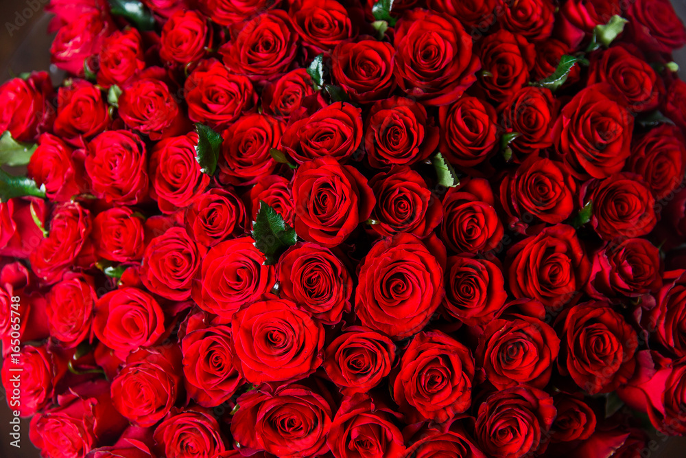 Beautiful red roses, floral texture Beautiful red roses, floral texture