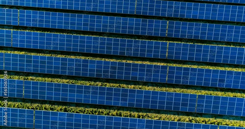 champs de panneau solaire dans une ferme solaire