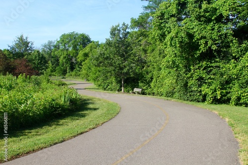 The winding walkway in the park.