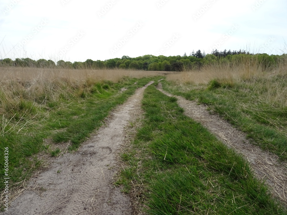 Dirtroad Dirtroad