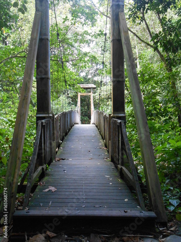 Pont Maison de la foret Guadeloupe