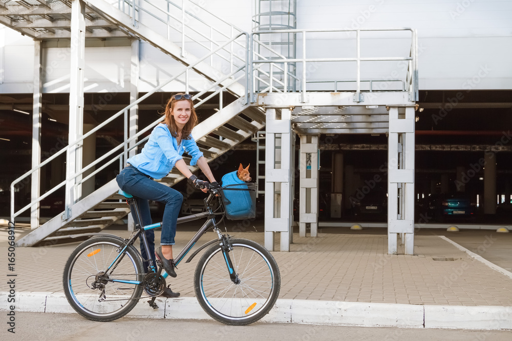 The attractive modern woman with a small dog in a basket, moving in the city by bicycle. The attractive modern woman with a small dog in a basket, moving in the city by bicycle.