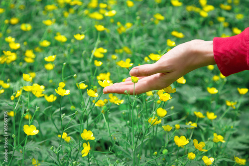 The woman touching a hand over flower 