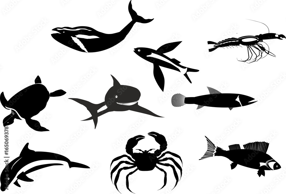 Obraz premium Monochrome color Marine life vector set