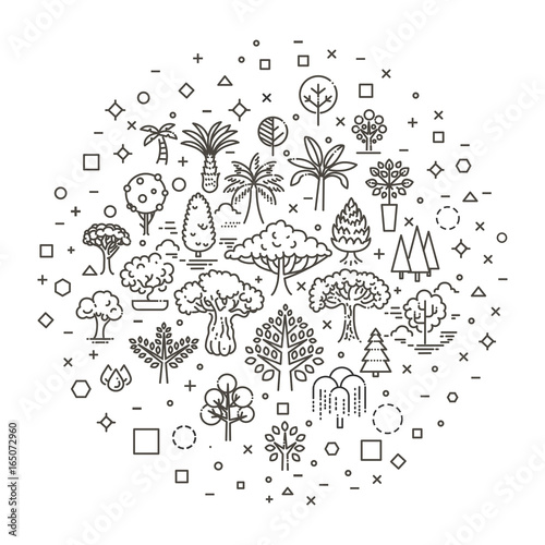 Set of Tree shape Vector Line Icons photo