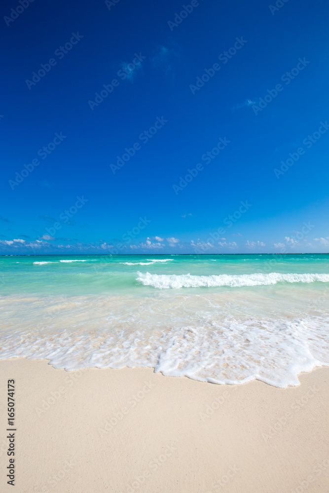 Fototapeta premium tropical beach in Maldives