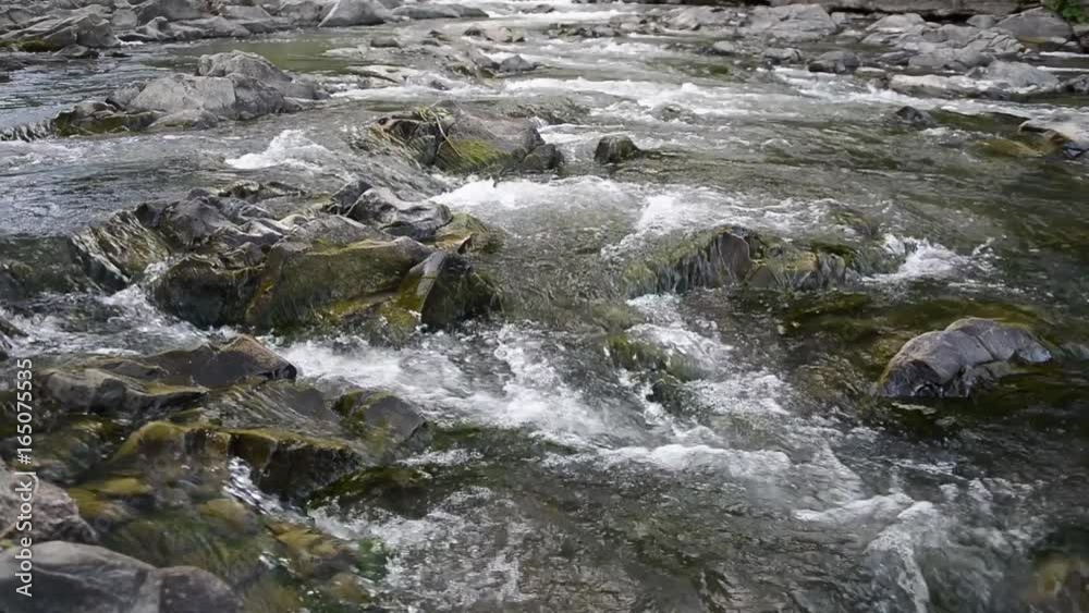 Mountain River with Stones with Transparent Water Mountain River with Stones with Transparent Water