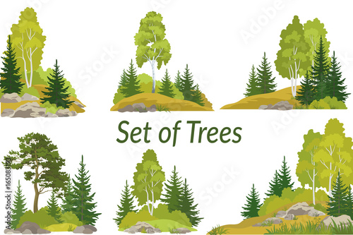 Set Summer and Autumn Landscapes, Isolated on White Background Coniferous and Deciduous Trees and Grass on the Rocks. Vector