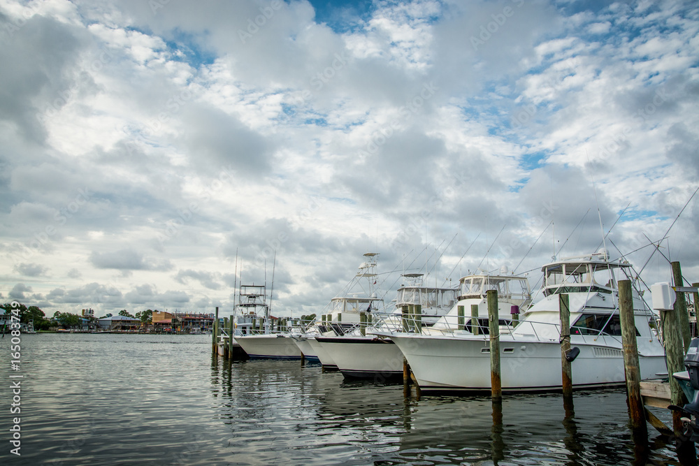 Fototapeta premium Charter boats at marina