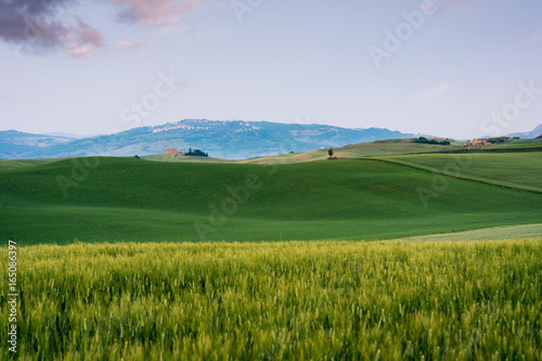 Beautiful summer landscape in Tuscany