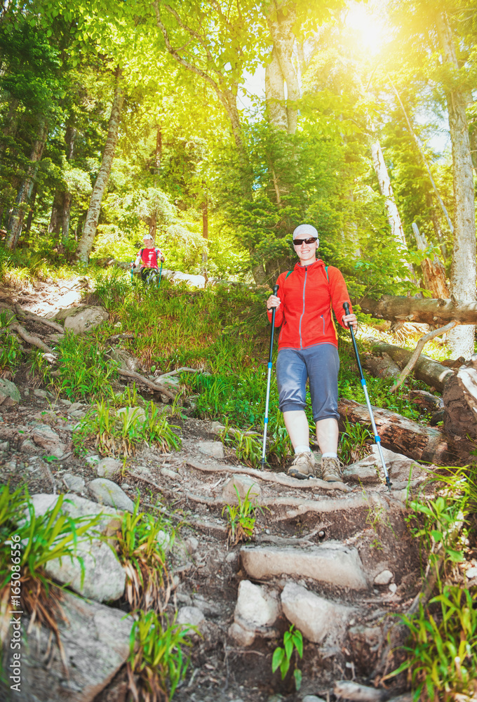 Group of tourist hiker walking in forest. Tourism concept Group of tourist hiker walking in forest. Tourism concept