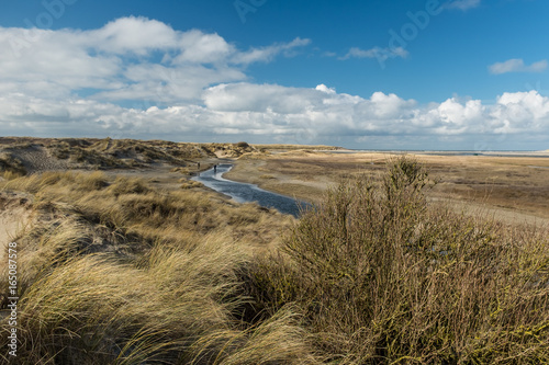 View on De Slufter, a nature reserve in Texel, the Netherlands. photo