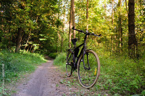 Photo of a bicycle standing on a path in the forest