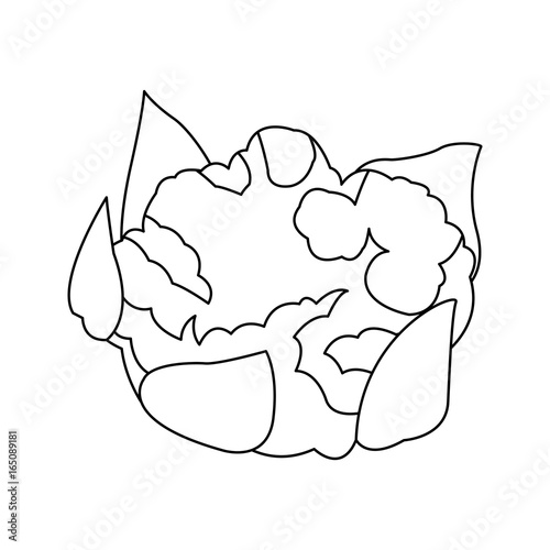 cauliflower with leaves vegetable healthy food