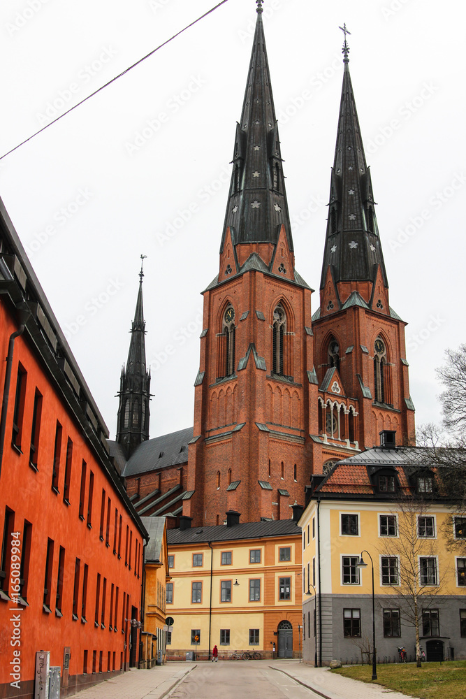Fototapeta premium Uppsala in Schweden
