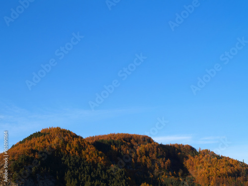 Autumn hillside and clear blue sky