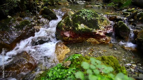 Water stream flows through colourful rocks in the forest