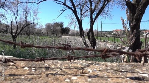 Garden behind fence with barbered wire at the countryside photo