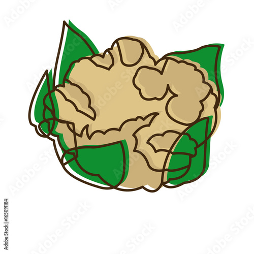cauliflower with leaves vegetable healthy food