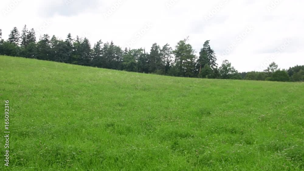 Pan view of summer landscape. Green meadow in summer Pan view of summer landscape. Green meadow in summer