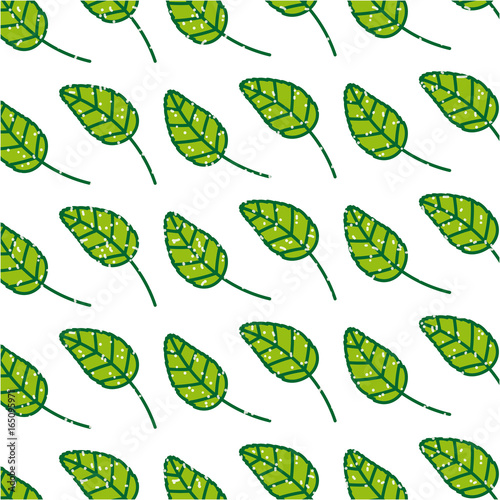 plant stevia natural sweetener icon vector illustration design graphic