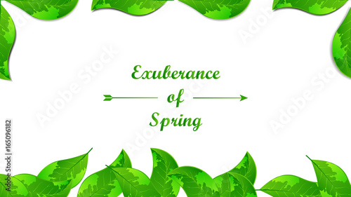 Leaves background in concept exuberance of spring