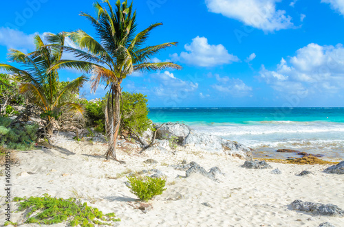 Paradise beach of Tulum  Quintana Roo  Mexico. Mayan ruins of Tulum at tropical coast.