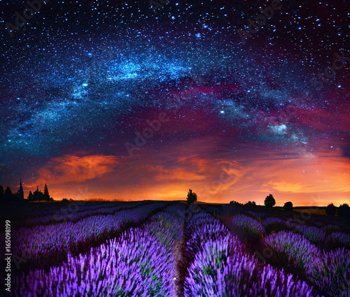 Milky Way over lavender field, France