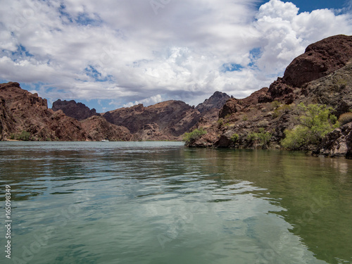 Colorado River Beauty