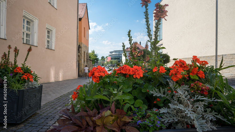 Naklejka premium Urbane Bepflanzung